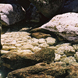 Fontaine de Vaucluse